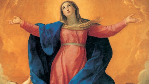hero-hero-maria-assunta